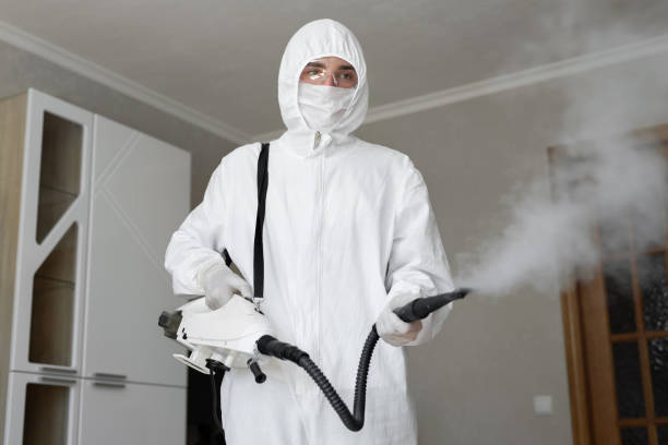 Best Forensic Mold Investigation  in Sulphur Springs, AR